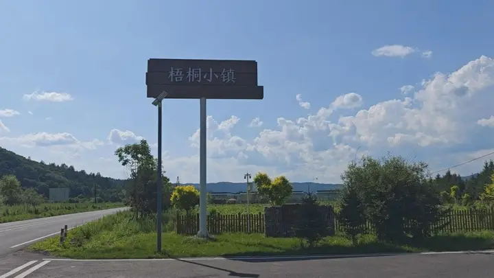 梧桐镇:药膳康养撬动生态旅游新引擎