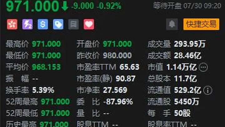 中际旭创港股挂牌首日破发 年内最大IPO上市结果不及预期引多方关注