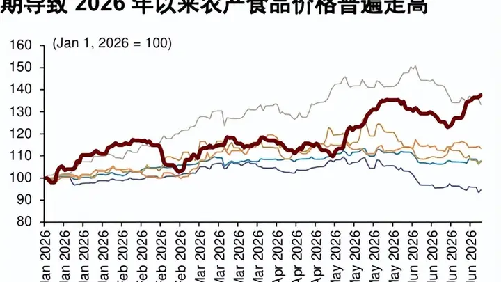 新季全球粮食供应趋紧,粮食ETF国泰(159033)大涨4%