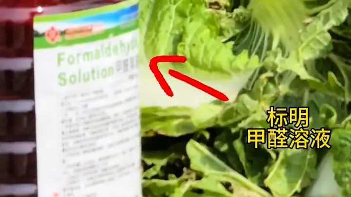 河北张家口市场监管局回应“博主曝光大白菜装车前蘸甲醛保鲜”：关注到相关情况，多部门已展开调查