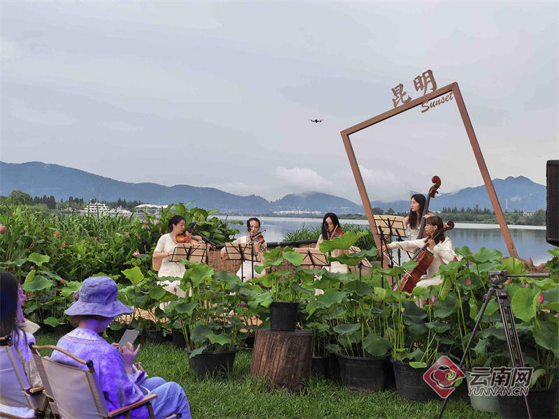 昆明大观公园第二十二届荷花文化节启幕