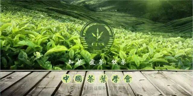 茶科普 | 中国新茶饮香飘海外的“出海密码”