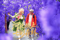 北京周边避暑天花板！16℃的丰宁七彩森林，遛娃度假一站式全搞定
