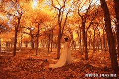 探秘额济纳：当千年胡杨遇上“长河落日”，这片秘境正酝酿秋日狂欢