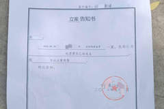 网红边牧被盗宰杀案件移送审查起诉 犬主人:还将提起民事诉讼