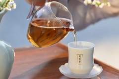 山与茶的双向奔赴——绿雪芽与福鼎白茶的共生交响