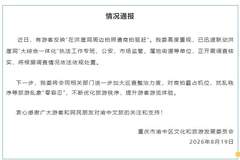 官方通报“游客称在重庆洪崖洞周边拍照遭驱赶”