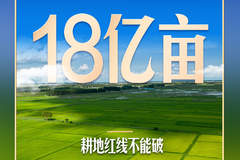 耕地保护：习近平的“护田”决心