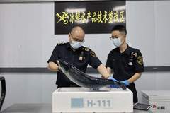 南京，再添一条新航线！