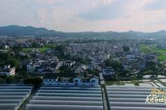总书记走进百姓家|让老区人民过上幸福生活