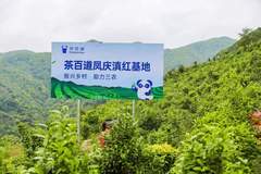 茶饮圈“冷”思考:新茶饮的生态换挡与供应链角力