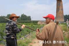 乡村有范儿丨泰安显祖剧团:白天种地晚上唱戏,22个农民撑起一个濒危剧种