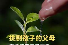 挑剔孩子的父母,需要培育自己的爱