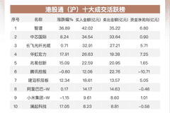 南向资金净买入近72亿港元 加仓华虹宏力及中芯国际流出腾讯