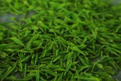 家里放了几年的红茶、绿茶、普洱茶，还能泡来喝吗？告诉你答案