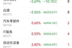 半导体板块主力净流入53.2亿，科技赛道开启超跌反弹行情