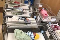 全球生育率暴跌:人类面临绝后危机?
