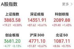 托伦斯连续两日20cm涨停，半导体设备板块领涨