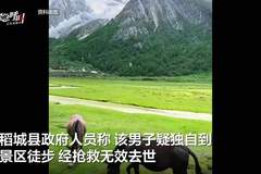 稻城亚丁景区一游客疑似高原反应去世 多方回应处理情况