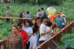 博乐第十三届荷花文旅盛典亮点拉满 全天候多元内容引爆夏日狂欢