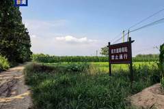 山西稷山玉壁城遗址坍塌白骨为古战场遗存,遗址文物保护工程正加快推进