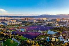 金昌紫金苑盛花期拉满 这个免费花海成近期出游顶流打卡地