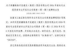 8月6日新疆维泰开发建设集团债券将在上交所挂牌交易，此次挂牌填补了地方国企债券交易品类的一处新布局