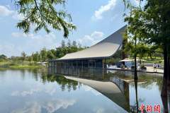 成都兴隆湖水下书店重装升级，新增图书与休闲服务成市民避暑阅读新去处