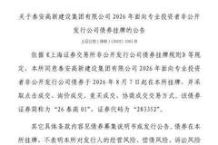 上交所助力泰安高新建设集团债券挂牌 8月7日起正式登陆上交所交易