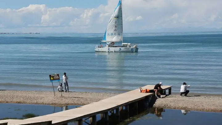 青海湖盛夏画卷:碧水蓝天花海迎客来