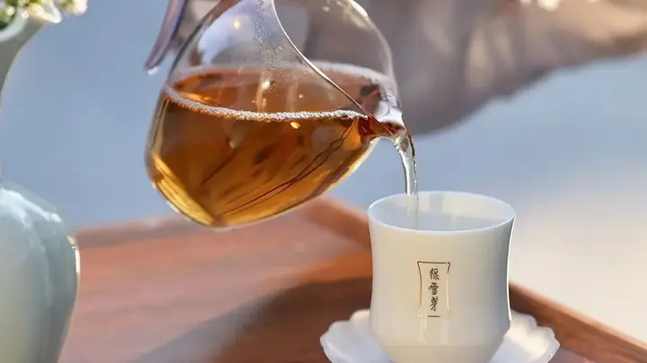 山与茶的双向奔赴——绿雪芽与福鼎白茶的共生交响