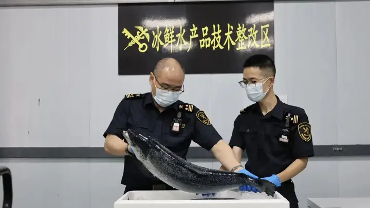 南京,再添一条新航线!