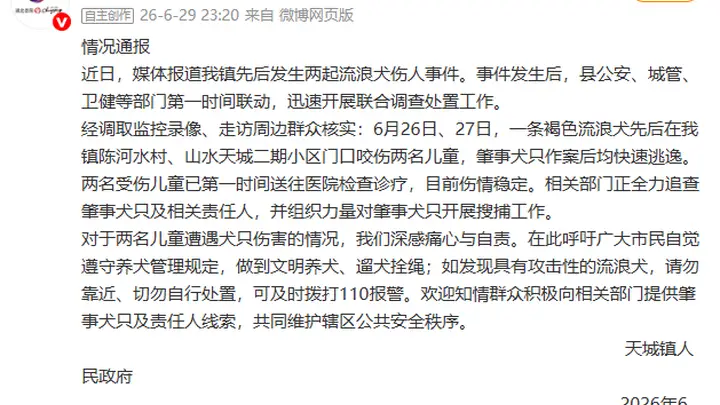 湖北崇阳通报“流浪犬咬伤两名儿童”：全力追查肇事犬只及相关责任人
