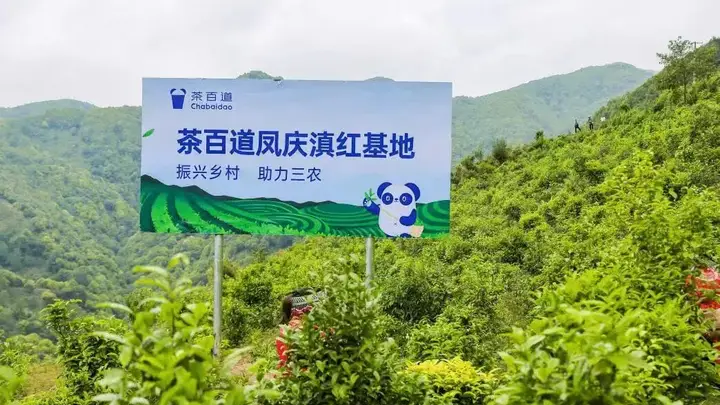 茶饮圈“冷”思考:新茶饮的生态换挡与供应链角力