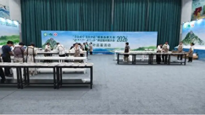 在全国绿茶巅峰对决中摘双奖 山东茶企圣谷山“南方突围”的制胜之道何在?