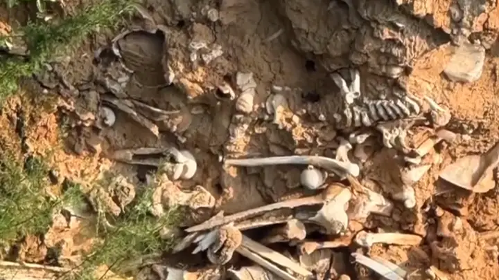 山西运城稷山道路旁露大量白骨 系古战争遗存 当地正推进玉壁城遗址保护项目