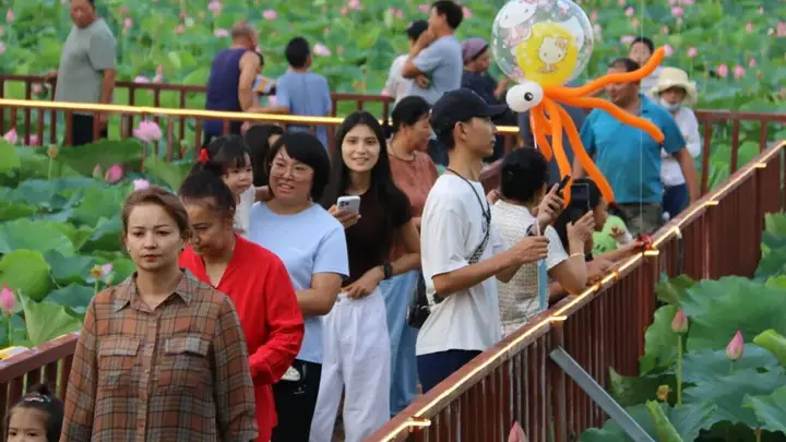 博乐第十三届荷花文旅盛典亮点拉满 全天候多元内容引爆夏日狂欢