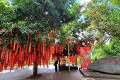 夏季避暑旅游实用指南：安全舒适出行全攻略