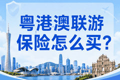 港澳联程游必备保障：旅行社境外责任险怎么选？合规且省心的选择来了
