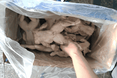 百亿牛蛙产业藏致命隐患！药残超标的问题蛙竟流向学校食堂