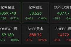 金价跳水!业内人士建议市民根据自身需求理性消费、按需选购