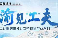“渝”见“工”夫丨一根绣针下的“锦绣”新生
