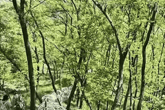 泰山景区致歉:刀片隔离铁丝网与正常的游览路线不交叉、不重叠