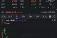 SpaceX股价首次跌破135美元IPO发行价
