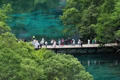 网传九寨沟湖水靠颜料染色?纯属虚假谣言