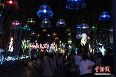 “南宁夜花园”活动暑期引客夜游 千亩光影区亮灯开放