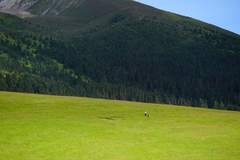 2026四川甘孜山地文化旅游节7月23日启幕,非遗直播、锅庄晚会、草原赛马等精彩纷呈
