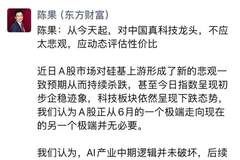陈果最新发声：今天起，对中国真科技龙头不应太悲观
