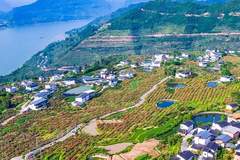 云阳巴阳村：非遗古法体验地，田园诗意慢生活