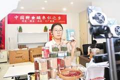 酸枣芽炒茶两月热卖八千斤